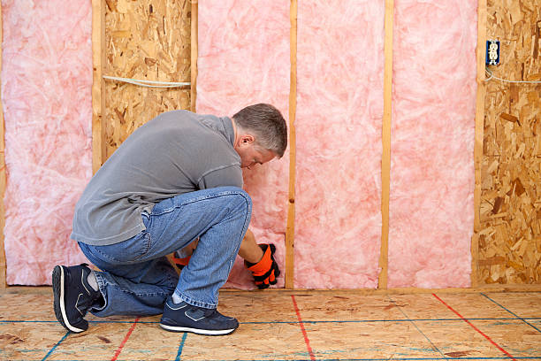 Best Crawl Space Insulation  in Collings Lakes, NJ